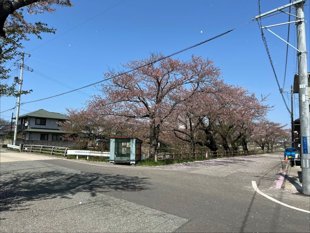 【建築条件無し】秋田市新屋大川町A[5]
