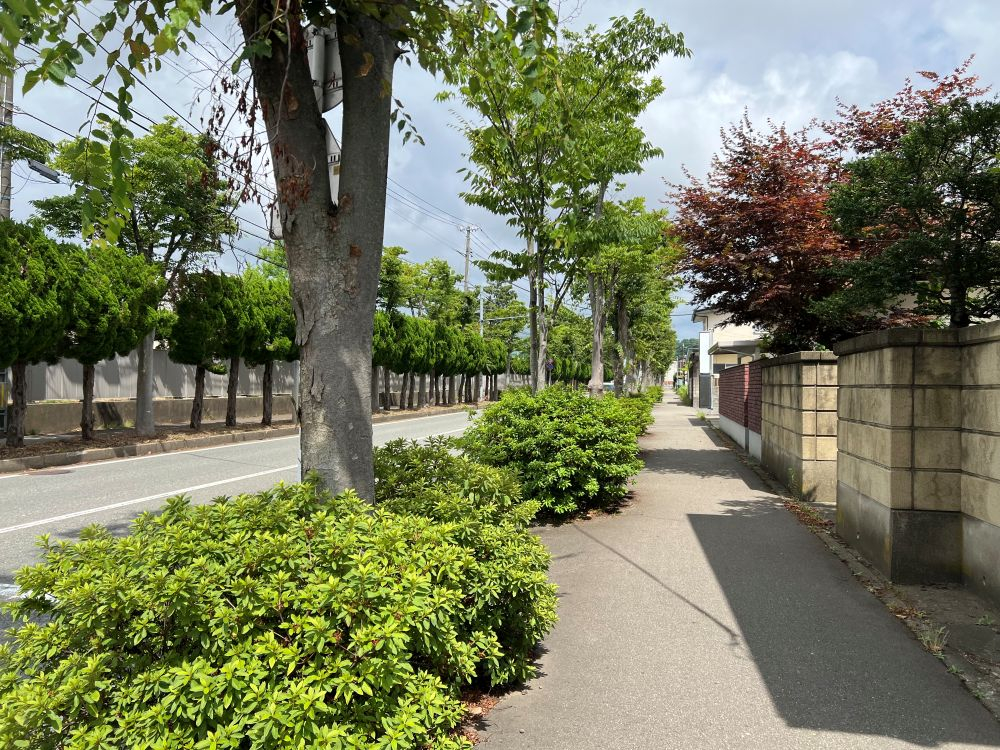 【土地】秋田市保戸野すわ町[4]
