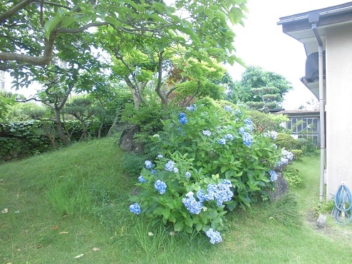 秋田市将軍野東二丁目[11]
